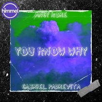 AnGy KoRe, Gabriel Padrevita – You Know why