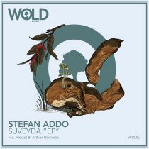 Stefan Addo – Suveyda
