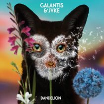 Galantis, JVKE – Dandelion