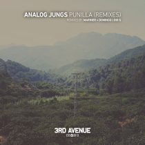 Analog Jungs – Punilla (Remixes)