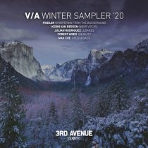 VA – Winter Sampler 2020