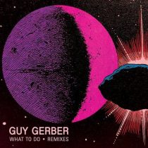 Guy Gerber – What To Do (Remixes)