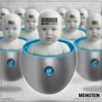Meinstein – Theory Of Vocal Activity