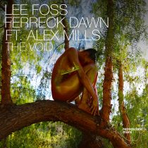Ferreck Dawn, Alex Mills, Lee Foss – The Void