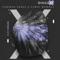 Diggant – Common Sense & Funky Monkey