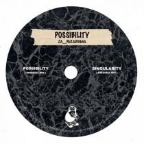 Za__Paradigma – Possibility