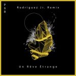 Seth Schwarz, Hicky & Kalo, Rodriguez Jr. – Un Rêve Étrange Remix