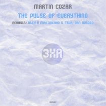 Martin Cozar – The Pulse of Everything