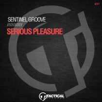 Sentinel Groove – Serious Pleasure