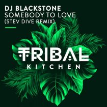 DJ Blackstone – Somebody To Love (Stev Dive Remix)