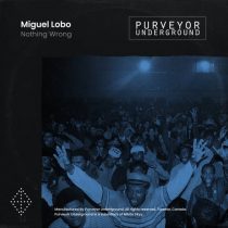 Miguel Lobo – Nothing Wrong