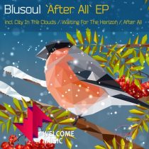 Blusoul – After All