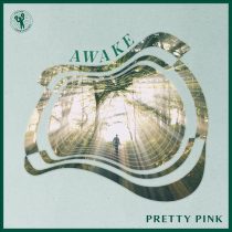 Pretty Pink – Awake (Club Mix)