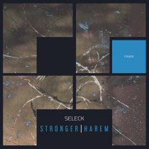 Seleck – Stronger / Harem
