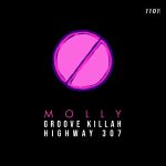 Highway 307, Groove Killah – Molly