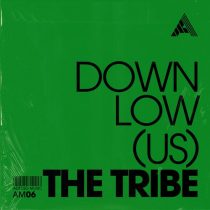 DOWNLow (US) – The Tribe – Extended Mix
