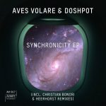 Aves Volare, Doshpot – Synchronicity