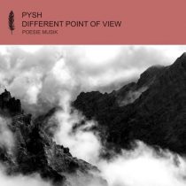 Pysh, LADS, Pysh, Lads – Different Point of View