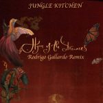 Jungle Kitchen – Toubilla (Rodrigo Gallardo Remix)