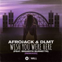 Afrojack, Brandyn Burnette, DLMT – Wish You Were Here (feat. Brandyn Burnette) [Remixes]