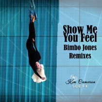 Side FX Kim Cameron – Show Me You Feel Remixes
