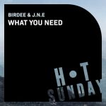 Birdee, J.N.E – What You Need