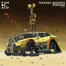 Teenage Mutants – Fortune