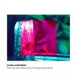 Barbara Tucker, Studio Apartment – More Love (The Deepshakerz Remix)