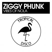 Ziggy Phunk – Vibes Of Nola