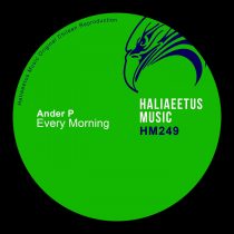 Ander P – Every Morning