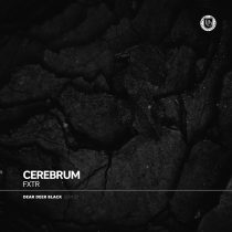 FXTR – Cerebrum