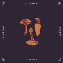 NightFunk – Wonderland