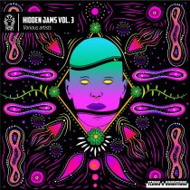 VA – Hidden Jams Vol. 3