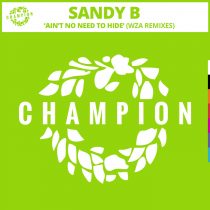 Sandy B – Ain’t No Need To Hide (WZA Remixes)