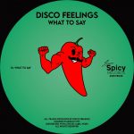 Disco Feelings – What To Say
