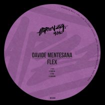 Davide Mentesana – Flex