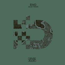 Eivo – Acid Train