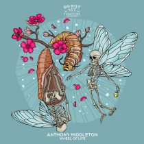 Anthony Middleton – Wheel Of Life