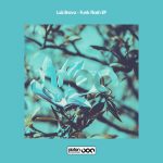 Luis Bravo – Funk Flash EP