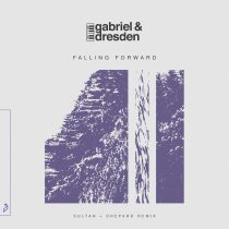 Gabriel & Dresden, Sub Teal – Falling Forward (Sultan + Shepard Remix)