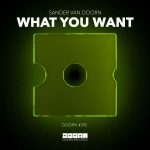Sander Van Doorn – What You Want (Extended Mix)