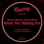 Robert Owens, TeamRedz – What You Waiting For