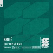 Panté – Deep Forest Night