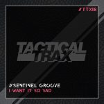 Sentinel Groove – I Want It So Bad