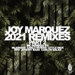Joy Marquez – Joy Marquez Remixes 2021, Pt. 2