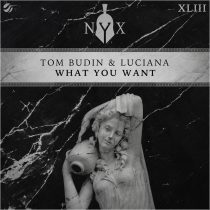 Luciana, Tom Budin – What You Want