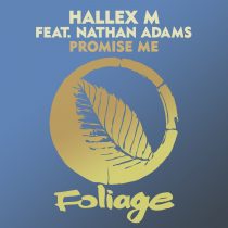 Nathan Adams, Hallex M – Promise Me