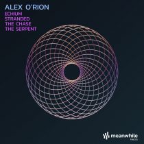 Alex O’Rion – Echium