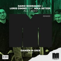 Dario Rodriguez, Loris Cimino, Mika Setzer – All I Need (feat. Mika Setzer) [Damien N-Drix Extended Remix]