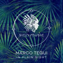 Marco Tegui – In Plain Sight
